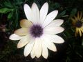 2010 05 24 jeanmarcperfetti.com 020.JPG
